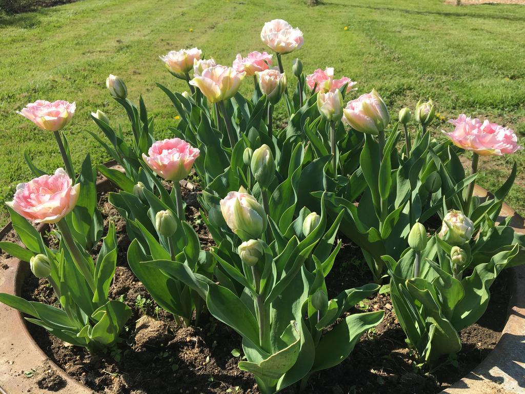 Gite De La Hertaudiere Montbizot Kültér fotó