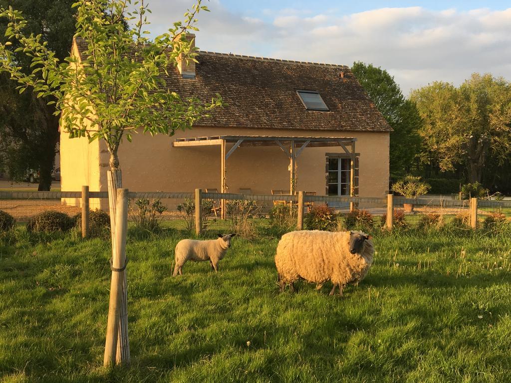 Gite De La Hertaudiere Montbizot Kültér fotó